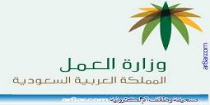 "العمل": الرياض ومكة والشرقية الأكثر طلبا لخدمة "الاتصال المرئي" بقيادات الوزارة