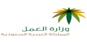 "العمل والتنمية الاجتماعية": جولات تفتيشية للتأكد من التزام قطاع الانشاءات بالسلامة المهنية