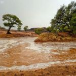 أمطار متوسطة على منطقة نجران