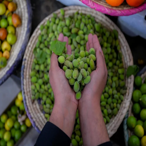 المحاصيل الزراعية في الباحة .. ثروة طبيعية تُزيَّن موائد شهر رمضان