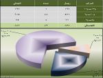 الخدمة المدنية : ترقية (887) موظف وموظفة خلال شهرين